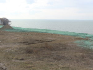 Image 114 thumb