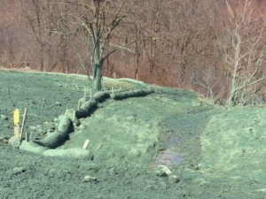 Image 67 thumb