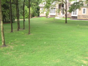 Image 61 thumb