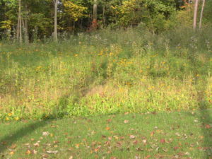 Image 58 thumb