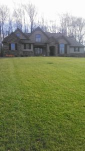 Image 96 thumb